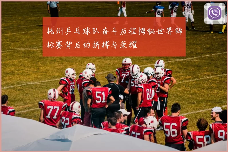 杭州乒乓球队奋斗历程揭秘世界锦标赛背后的拼搏与荣耀