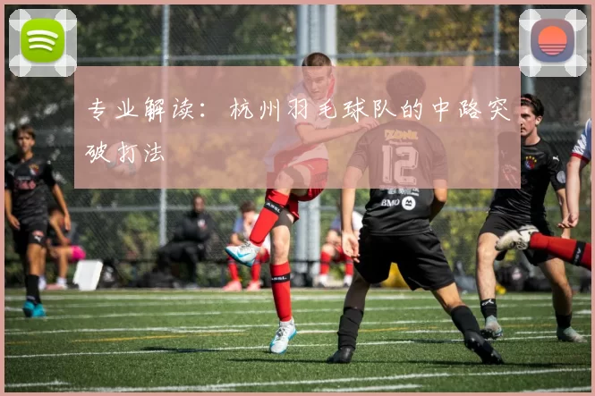 专业解读：杭州羽毛球队的中路突破打法