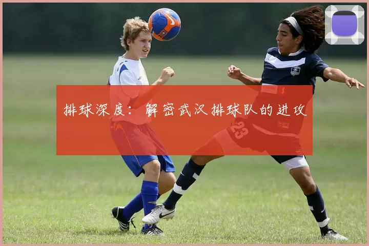 排球深度：解密武汉排球队的进攻