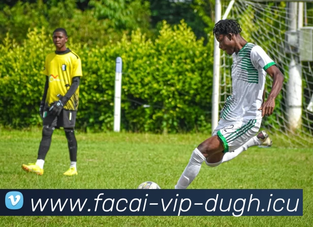 开云体育服务体系